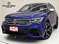 VW ティグアン