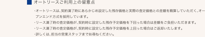 オートリース ご利用上の留意点